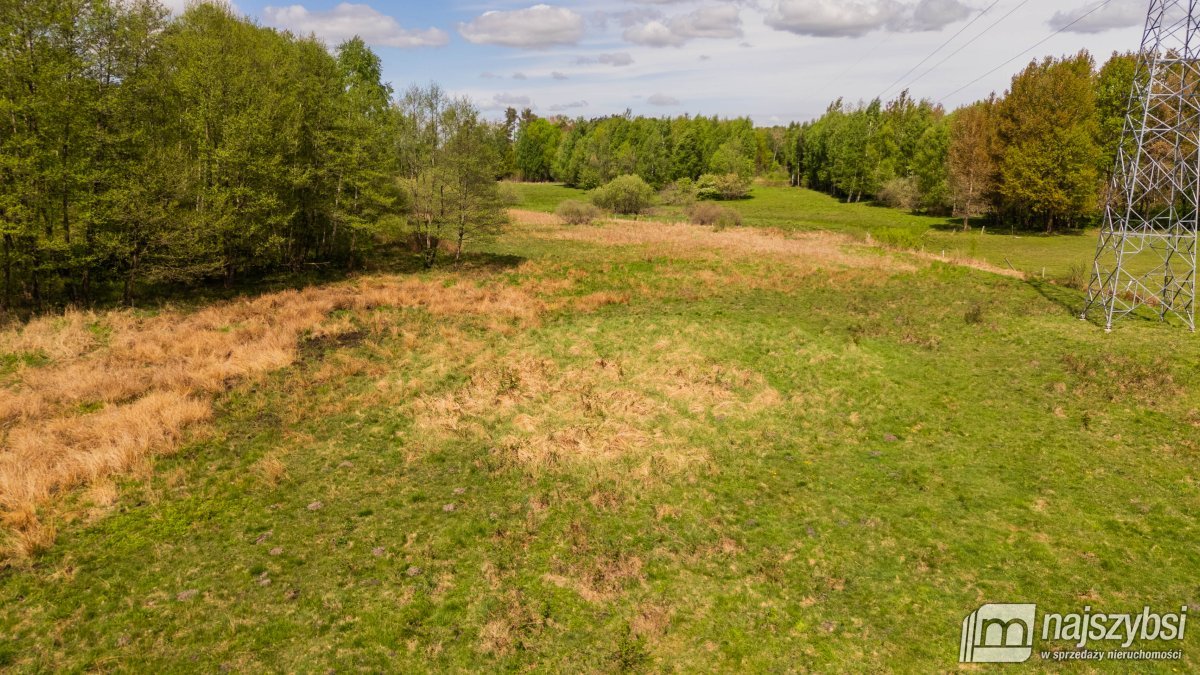 Dąbrowa Nowogardzka - łąką 9400m2 (15)