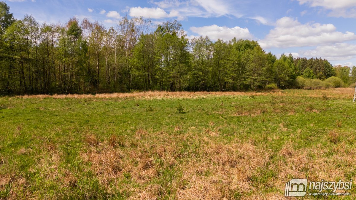 Dąbrowa Nowogardzka - łąką 9400m2 (16)