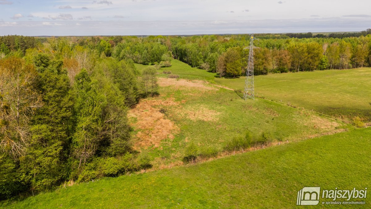 Dąbrowa Nowogardzka - łąką 9400m2 (17)