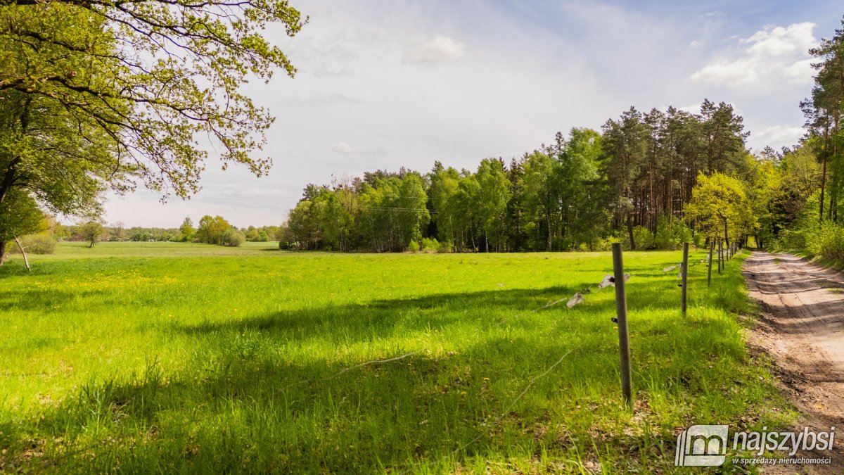 Dąbrowa Nowogardzka - łąką 9400m2 (2)