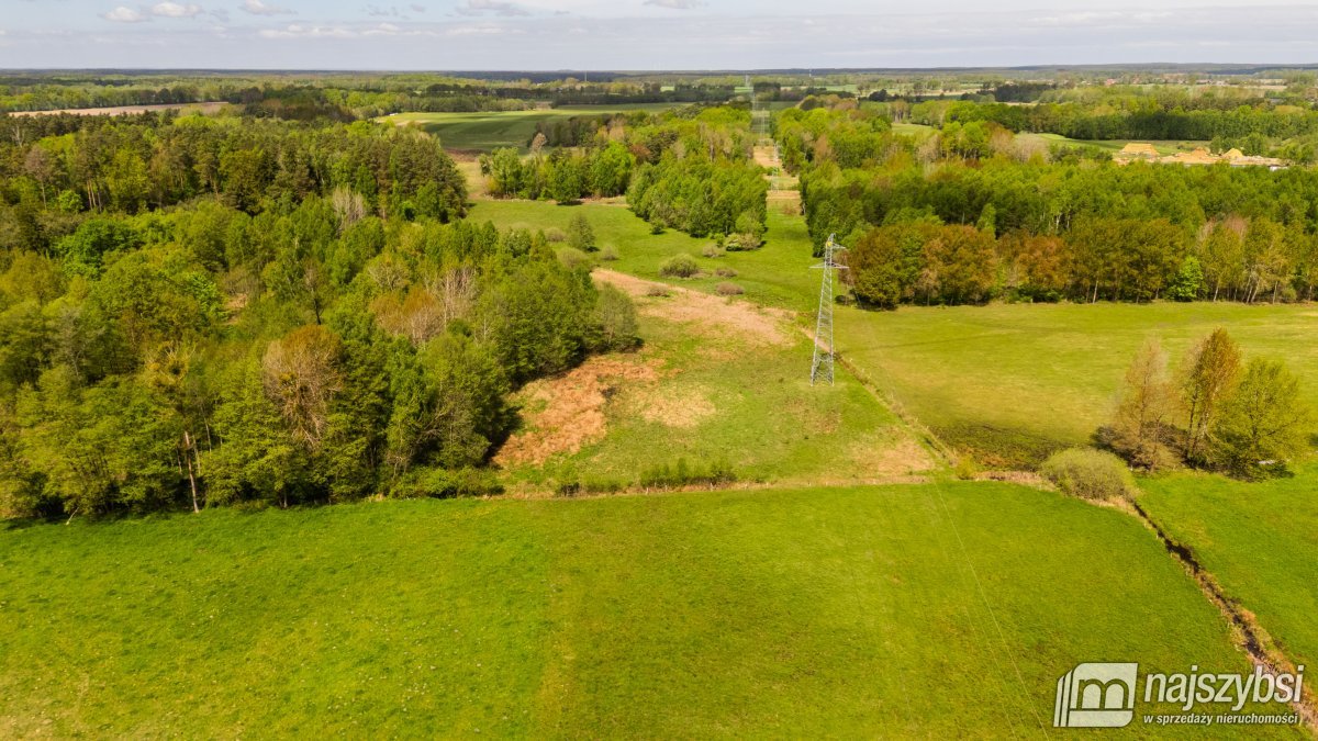 Dąbrowa Nowogardzka - łąką 9400m2 (3)