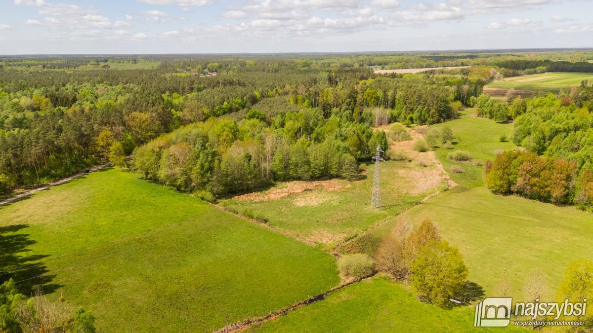 Dąbrowa Nowogardzka - łąką 9400m2 (4)