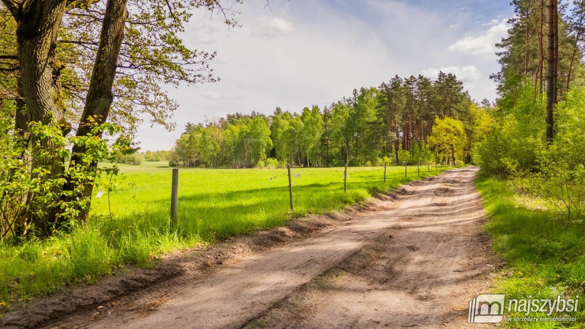 Dąbrowa Nowogardzka - łąką 9400m2 (5)
