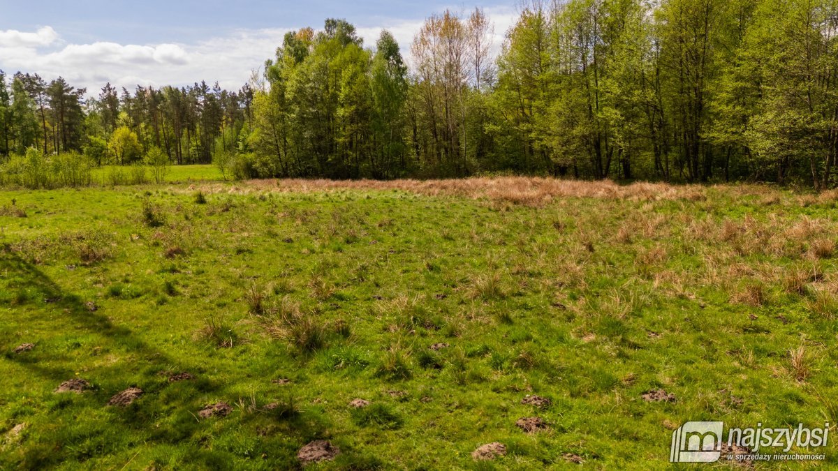 Dąbrowa Nowogardzka - łąką 9400m2 (6)