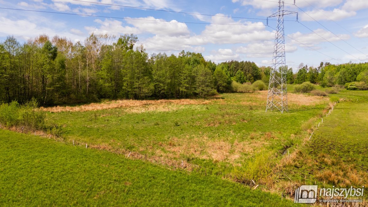 Dąbrowa Nowogardzka - łąką 9400m2 (7)