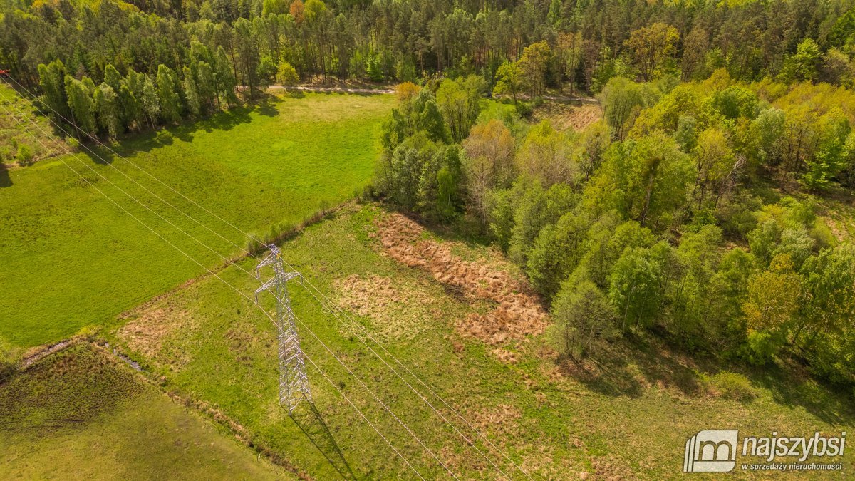 Dąbrowa Nowogardzka - łąką 9400m2 (8)