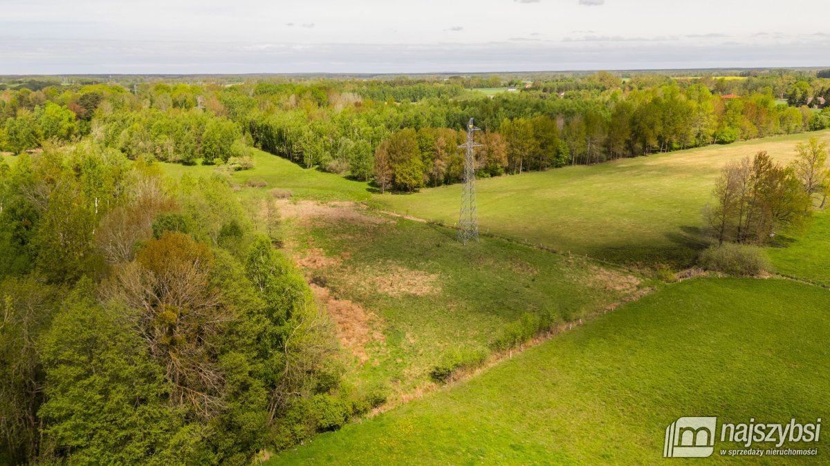 Dąbrowa Nowogardzka - łąką 9400m2 (9)
