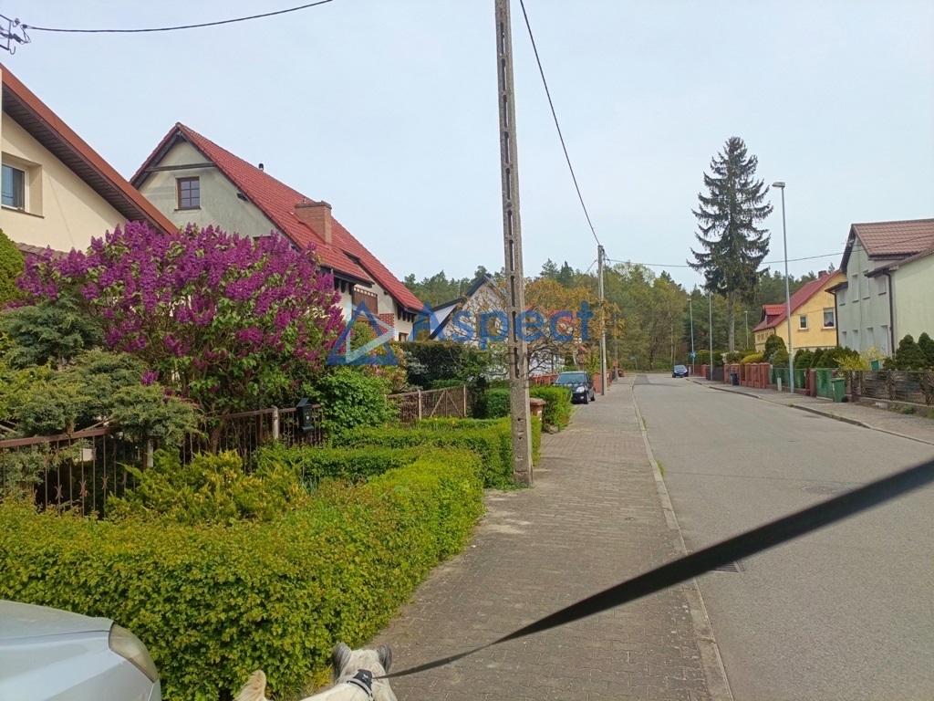 Wynajem. wyjątkowe 4 pok, Kijewo, przy lesie (23)