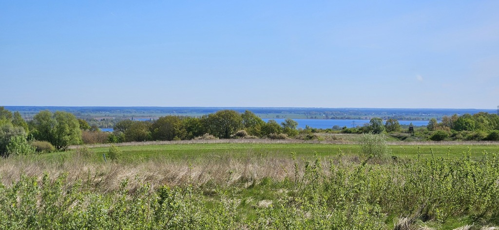 DZIAŁKA 4606 m2 - Skolwin - MPZP już obowiązuje (2)