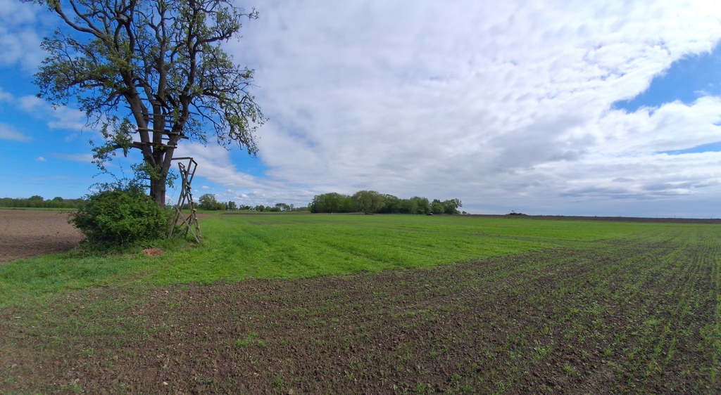 DZIAŁKA 4606 m2 - Skolwin - MPZP już obowiązuje (4)