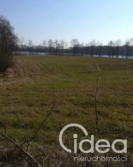 Działka z linią brzegową  w miejscowości Kaszewo. (4)
