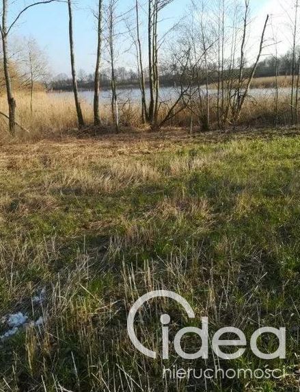 Działka z linią brzegową  w miejscowości Kaszewo. (2)