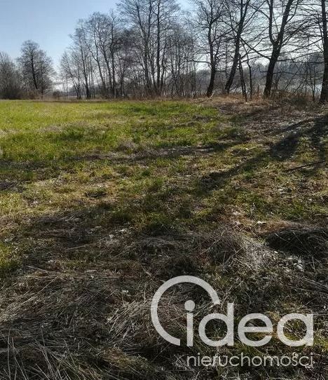 Działka z linią brzegową  w miejscowości Kaszewo. (6)