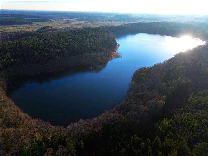 Działka rolna - Wyszebórz  (11)