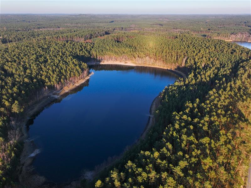 Działka rolna - Wyszebórz  (12)