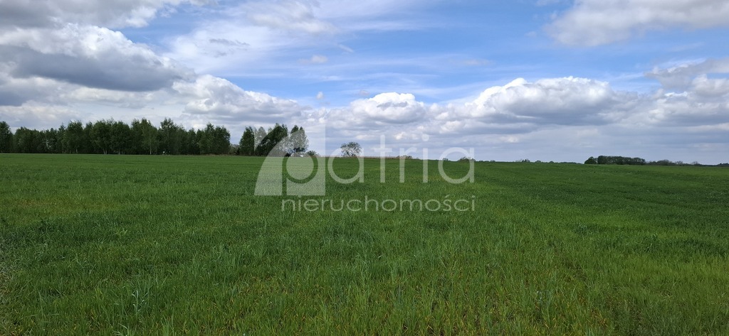 Bagna | 5455 m2 | Warunki na 13 domów (2)