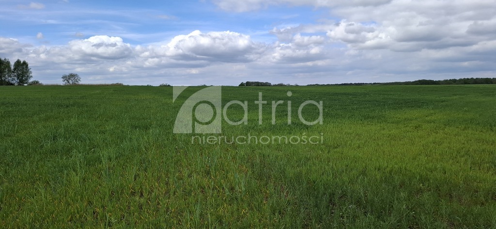 Bagna | 5455 m2 | Warunki na 13 domów (3)
