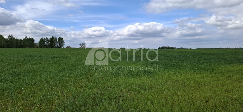 Bagna | 5455 m2 | Warunki na 13 domów (4)