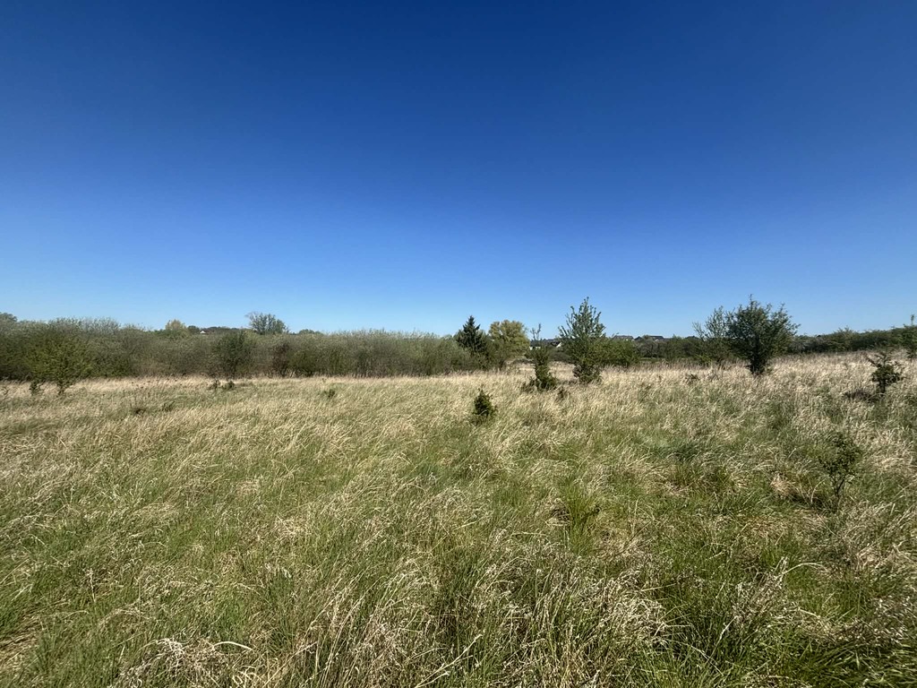 Budowlana, 1,302 m2, Gryfino  (2)