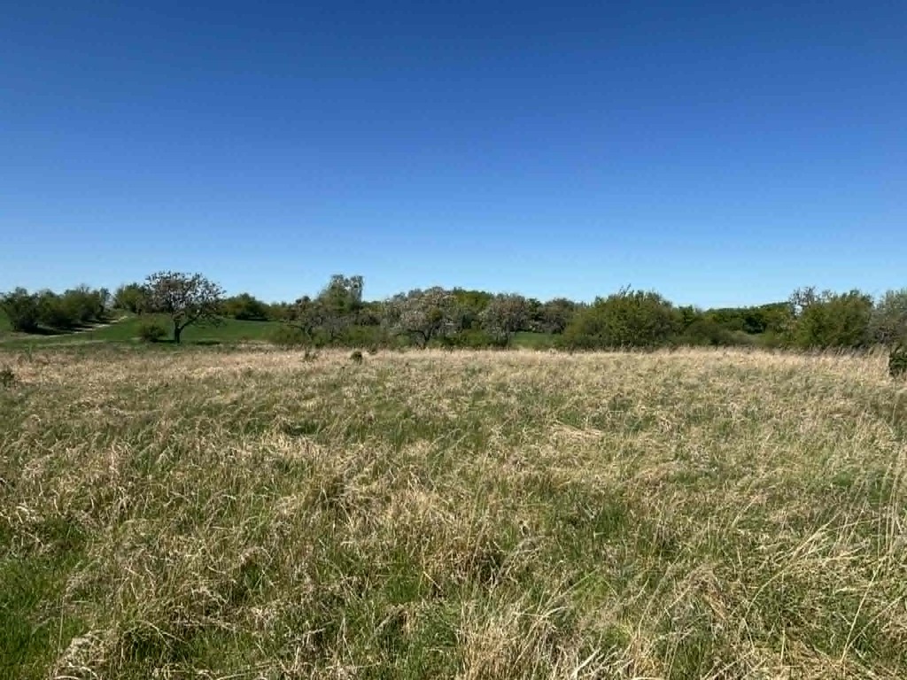 Budowlana, 1,302 m2, Gryfino  (3)