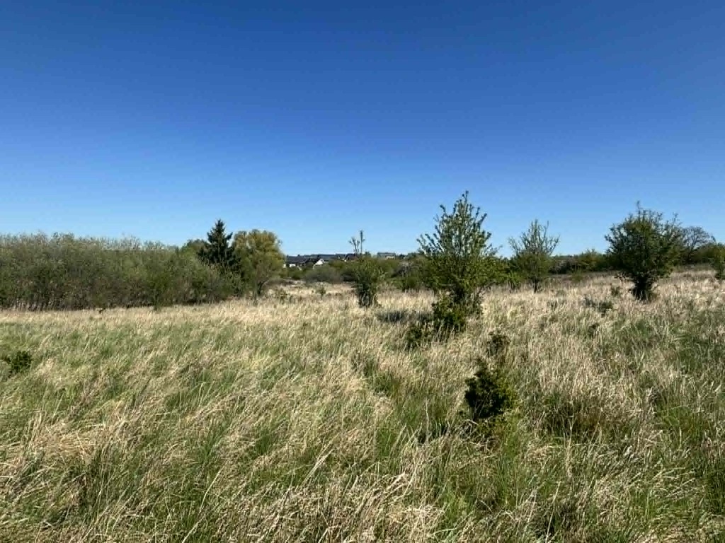 Budowlana, 1,302 m2, Gryfino  (4)