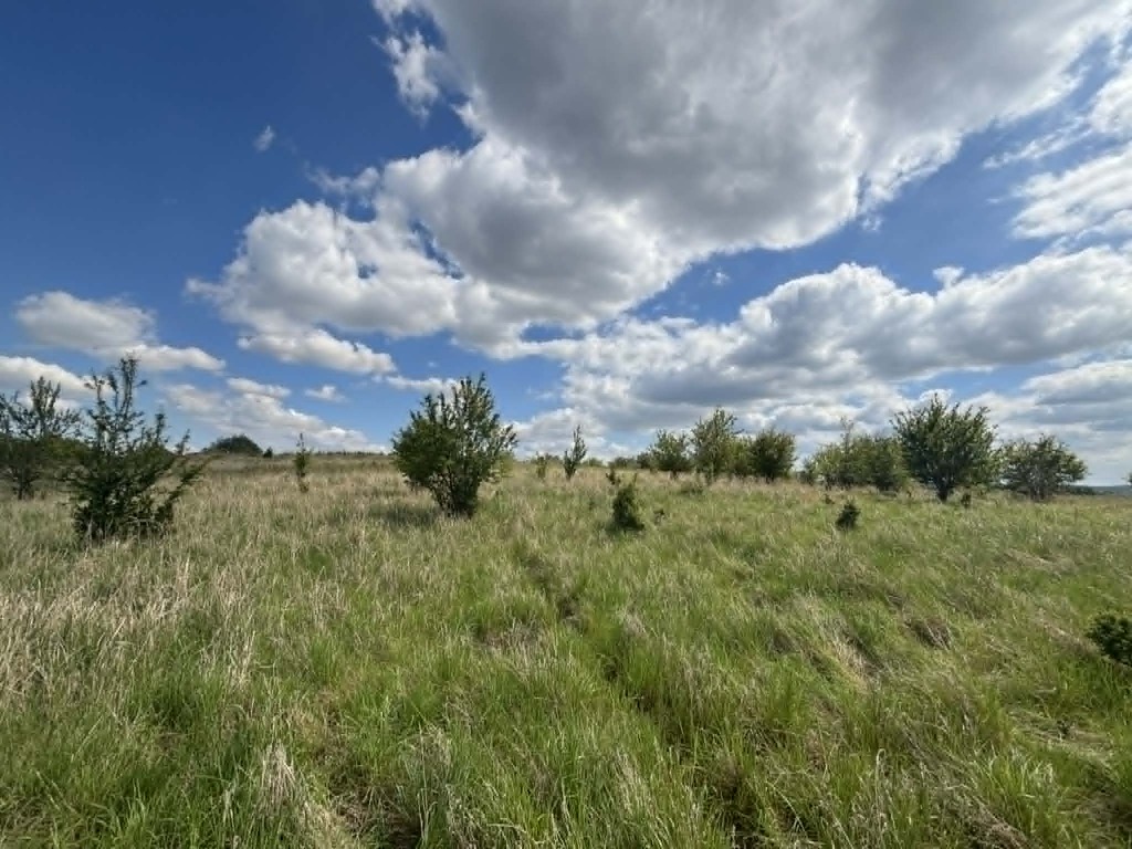 Budowlana, 1,302 m2, Gryfino  (1)