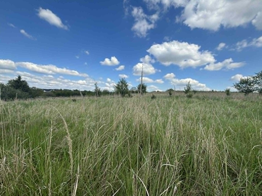 Budowlana, 1,302 m2, Gryfino  (6)
