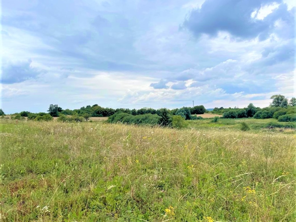 Budowlana, 990 m2, Gryfino  (1)