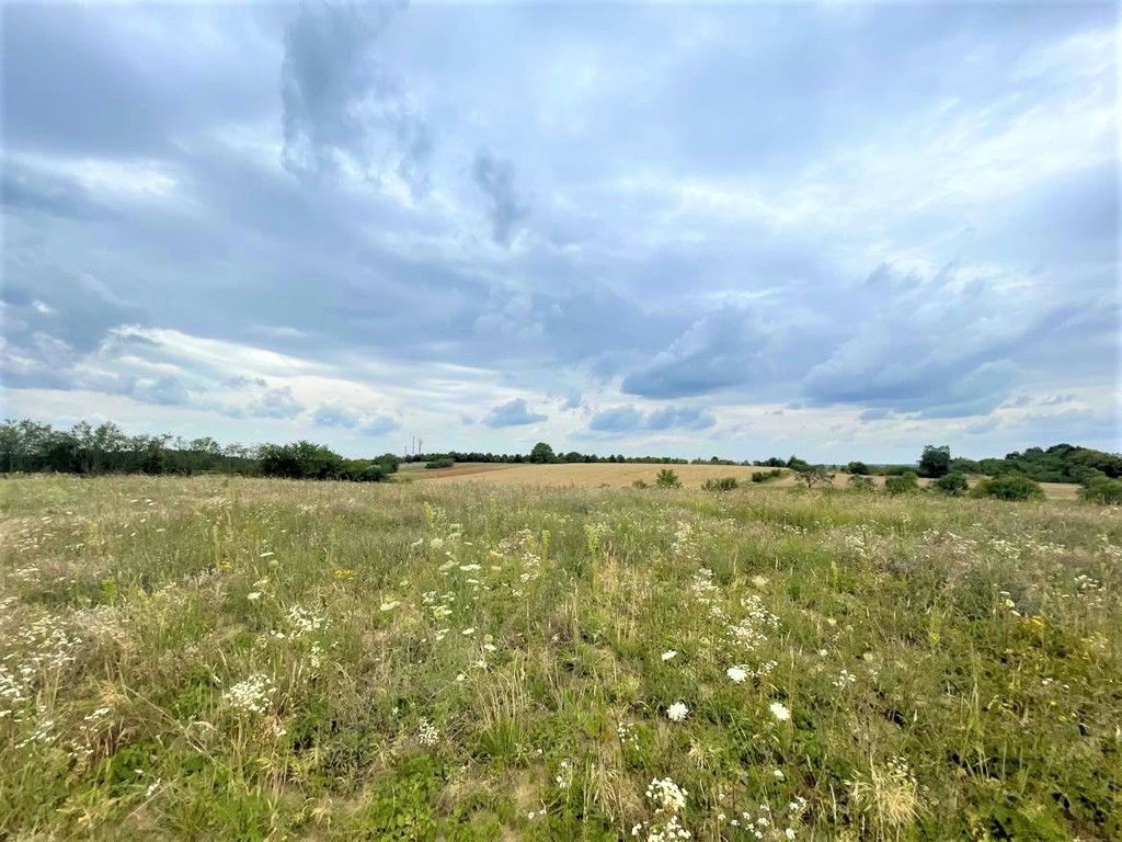 Budowlana, 990 m2, Gryfino  (2)