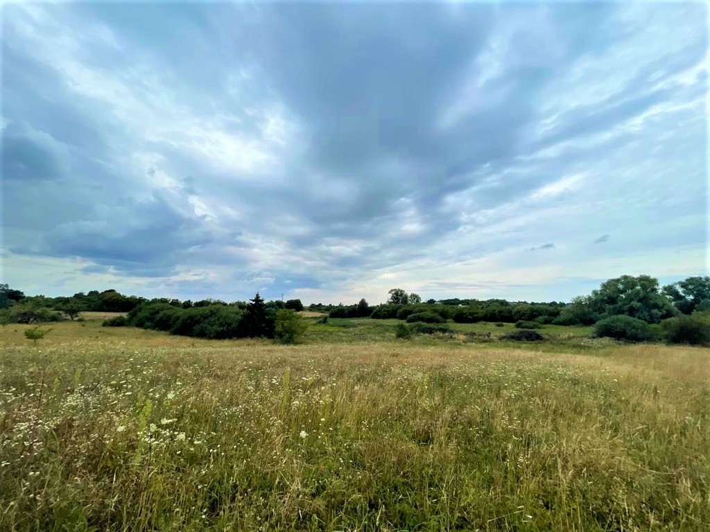 Budowlana, 990 m2, Gryfino  (3)