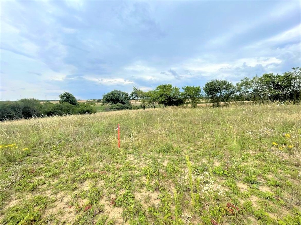 Budowlana, 990 m2, Gryfino  (5)