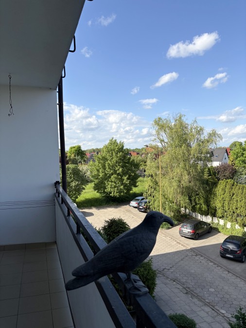 PRZESTRONNE 2 POKOJE, BALKON, WIDOK (9)