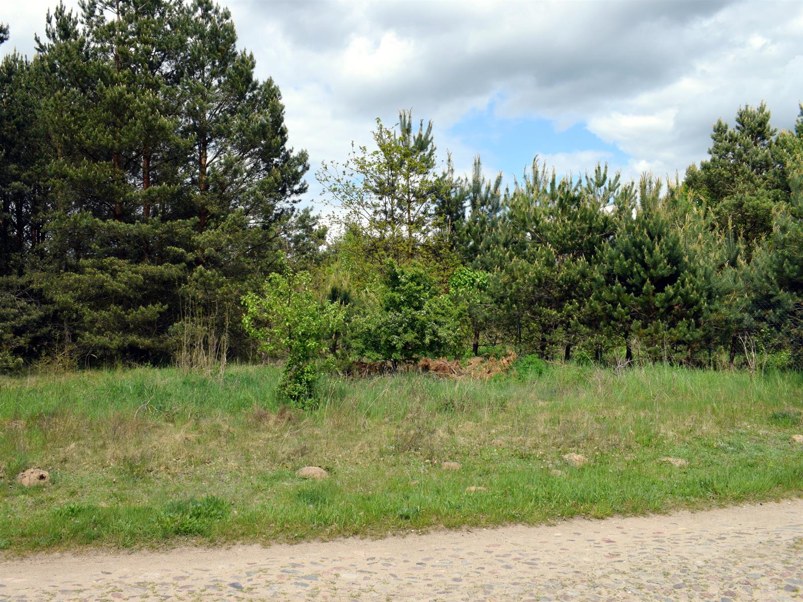 Działka - Stara Korytnica  (11)