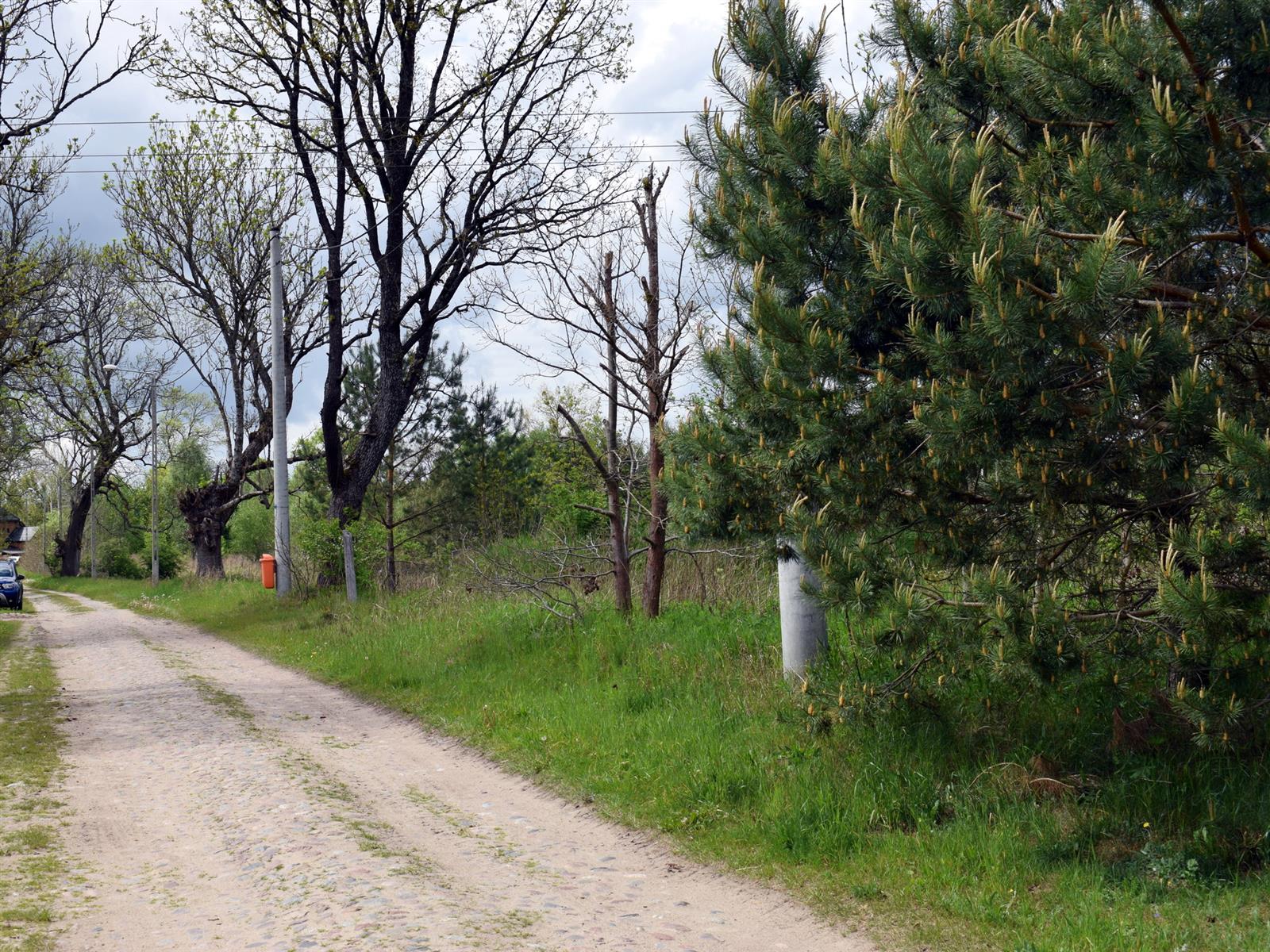 Działka - Stara Korytnica  (3)
