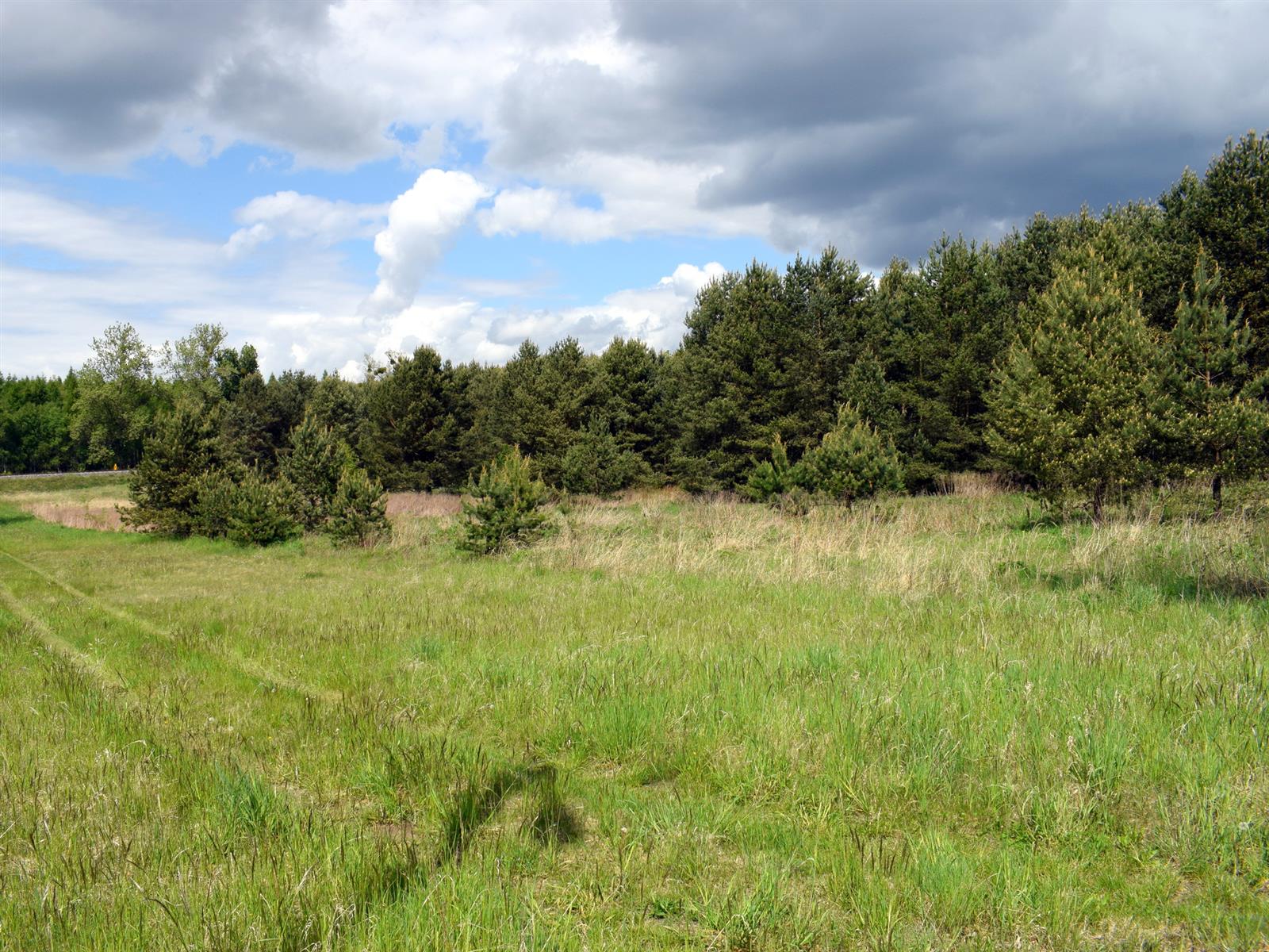 Działka - Stara Korytnica  (5)