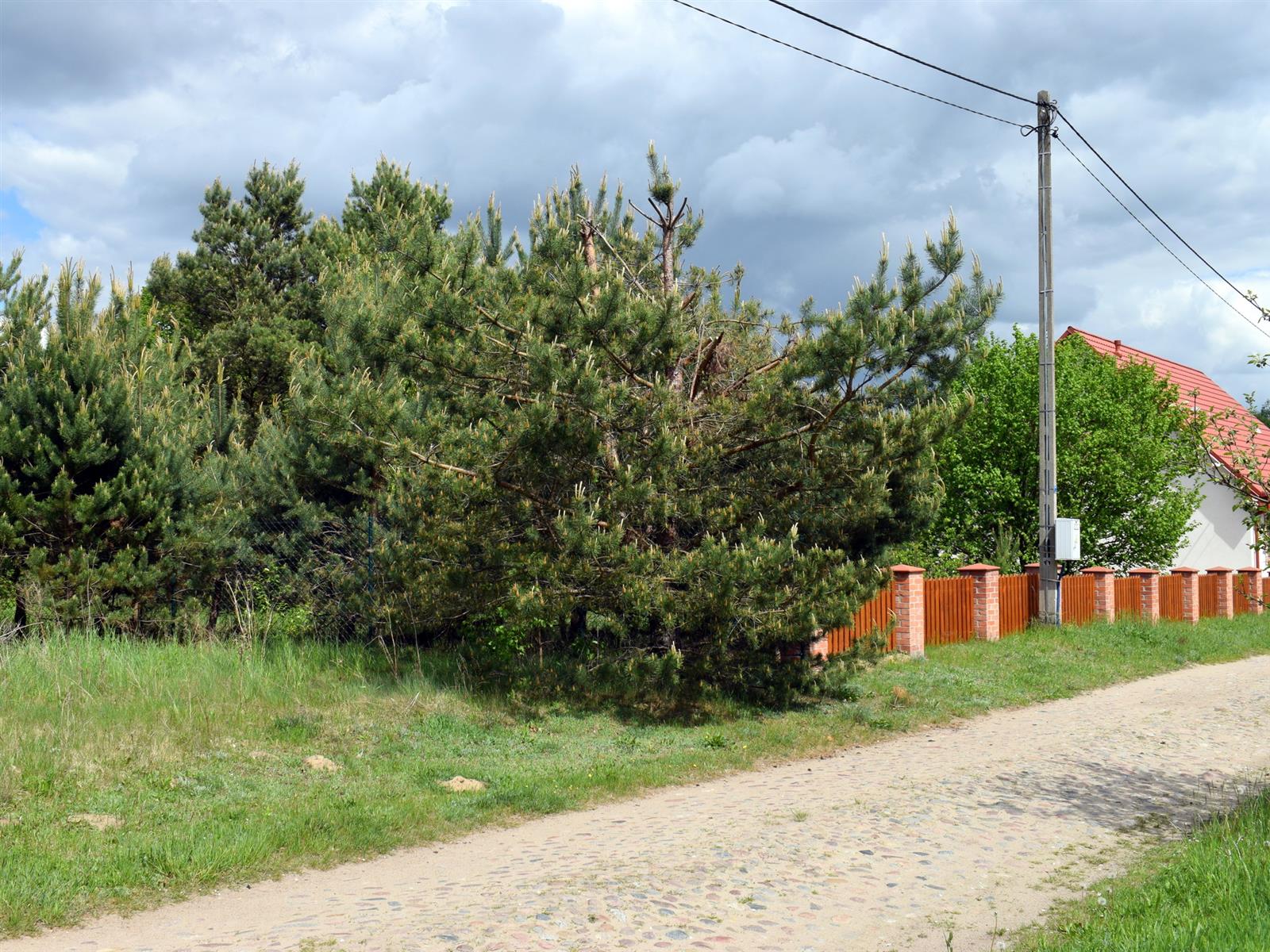 Działka - Stara Korytnica  (6)