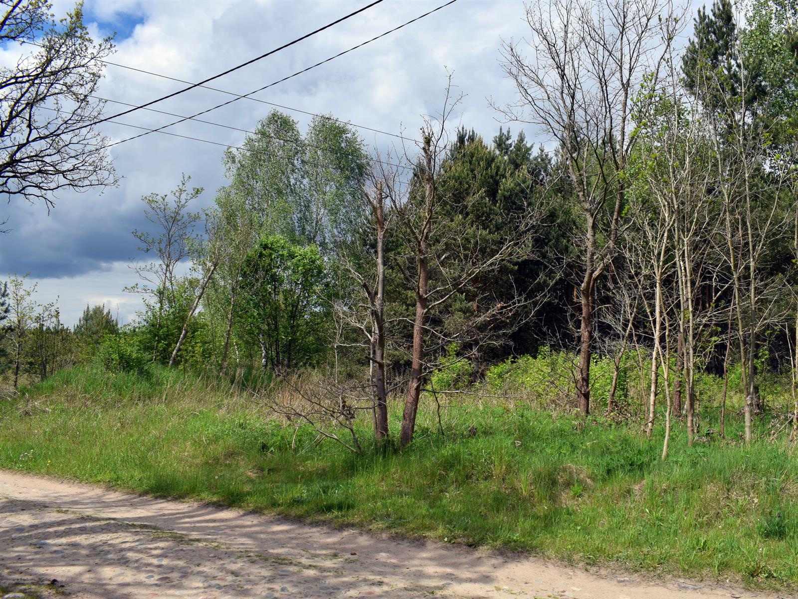 Działka - Stara Korytnica  (8)