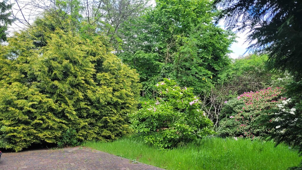 Szeregowiec, wysoki standard, Książąt Pomorskich (28)