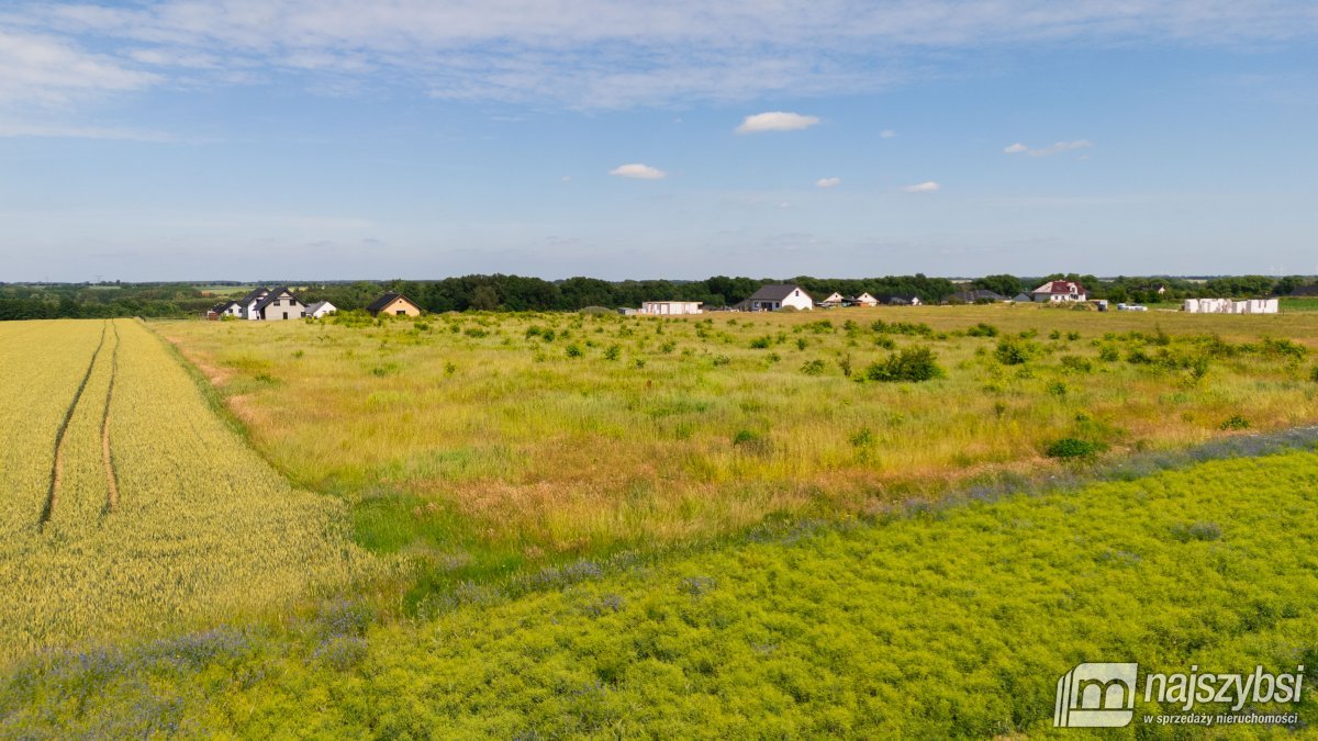 ŻAROWO - DZIAŁKI ROLNE NA SPRZEDAŻ (9)