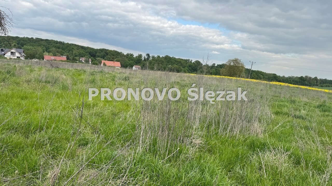 Sprzedam działkę z potencjałem (1)