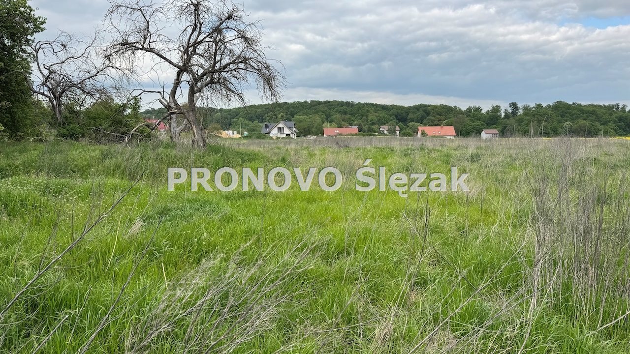 Sprzedam działkę z potencjałem (2)