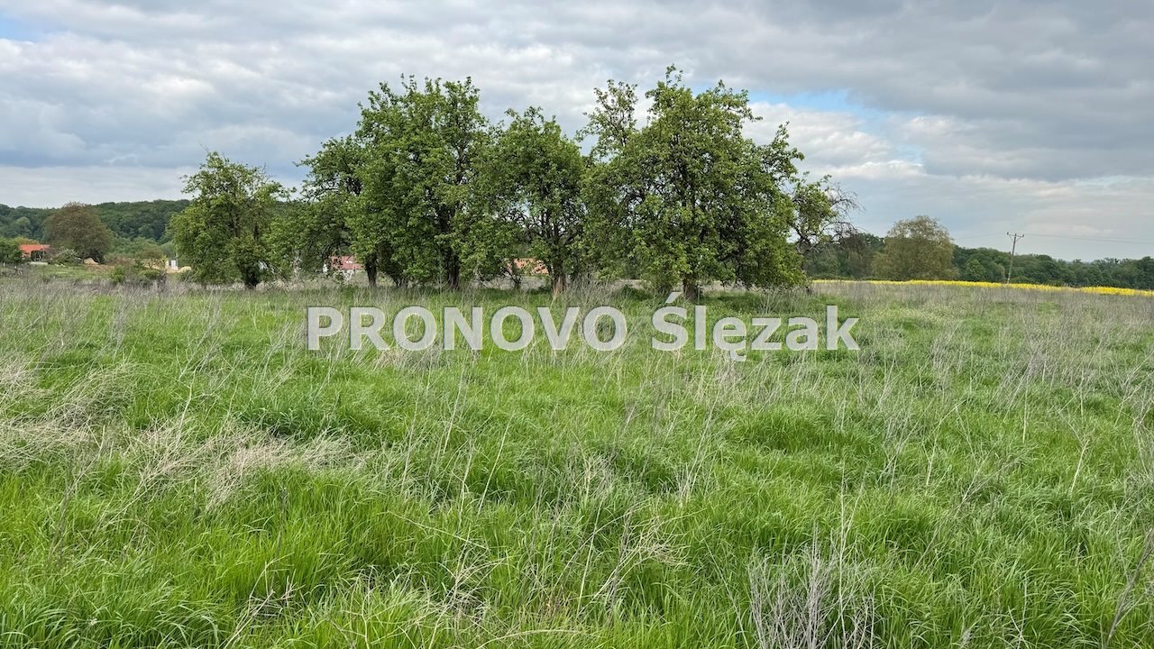 Sprzedam działkę z potencjałem (3)