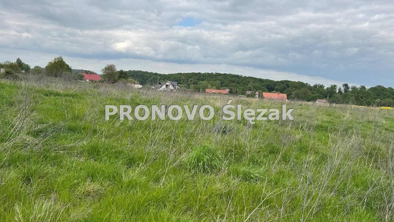 Sprzedam działkę z potencjałem (4)