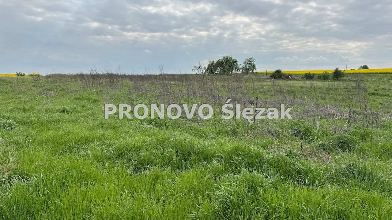 Sprzedam działkę z potencjałem (5)