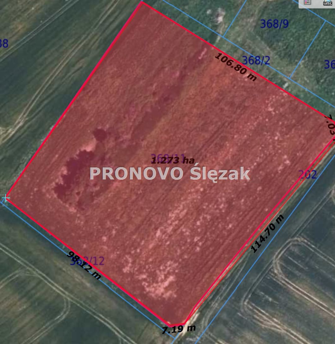 Sprzedam działkę z potencjałem (6)