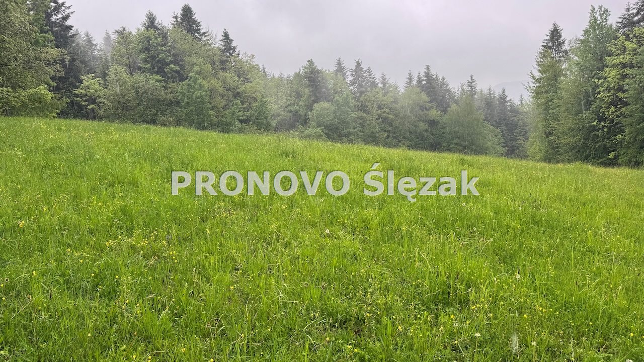 Sprzedam działkę budowlaną w górach. (1)