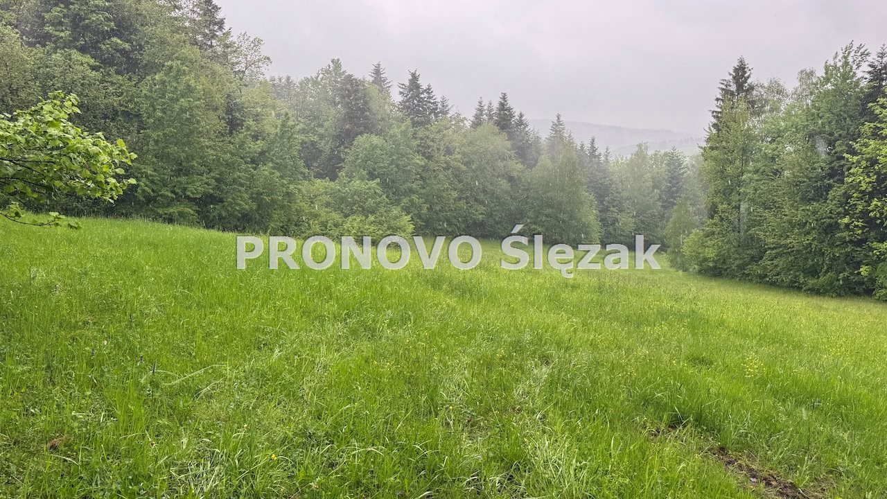 Sprzedam działkę budowlaną w górach. (2)