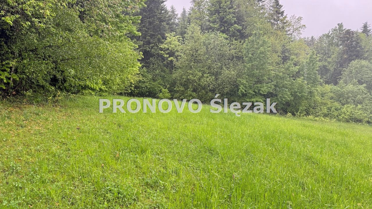 Sprzedam działkę budowlaną w górach. (3)