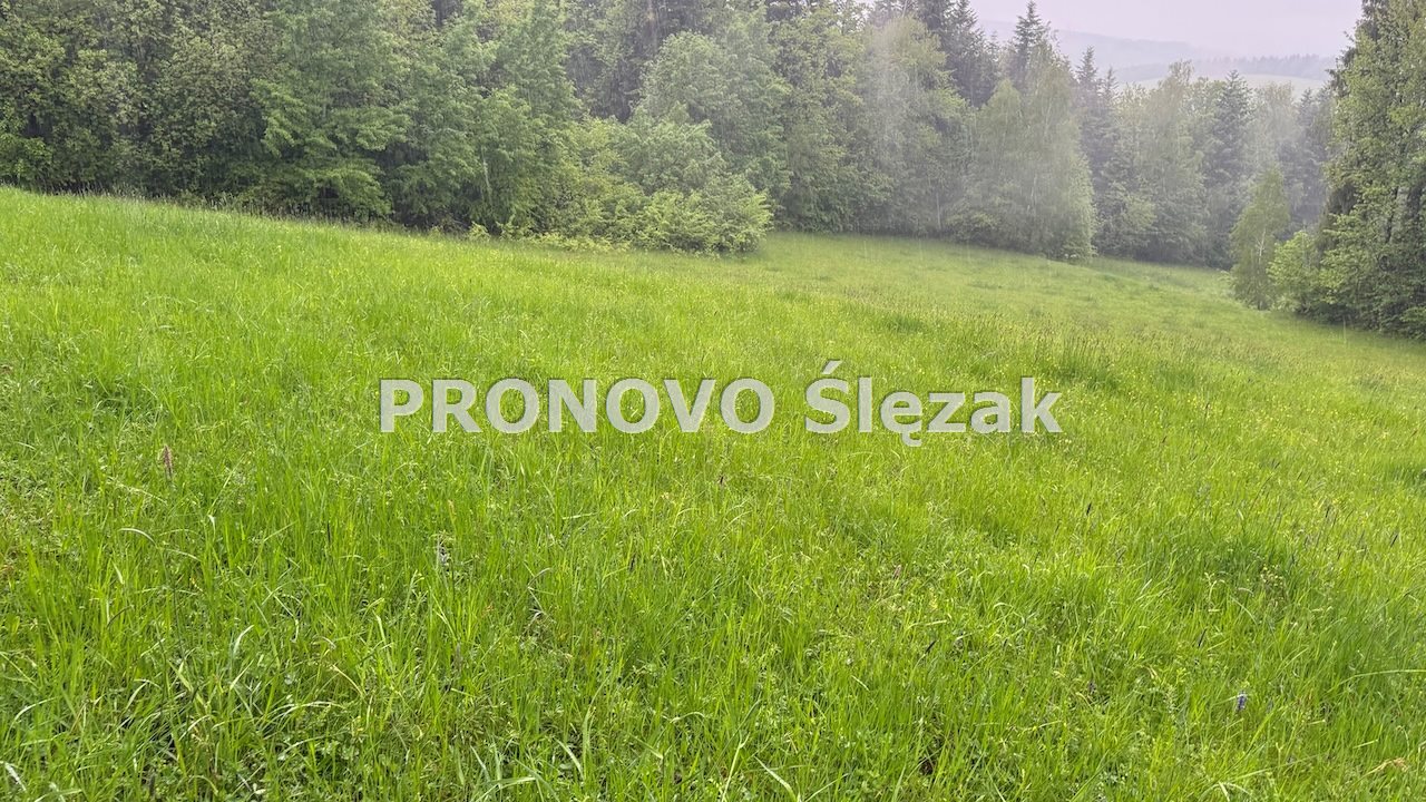 Sprzedam działkę budowlaną w górach. (4)