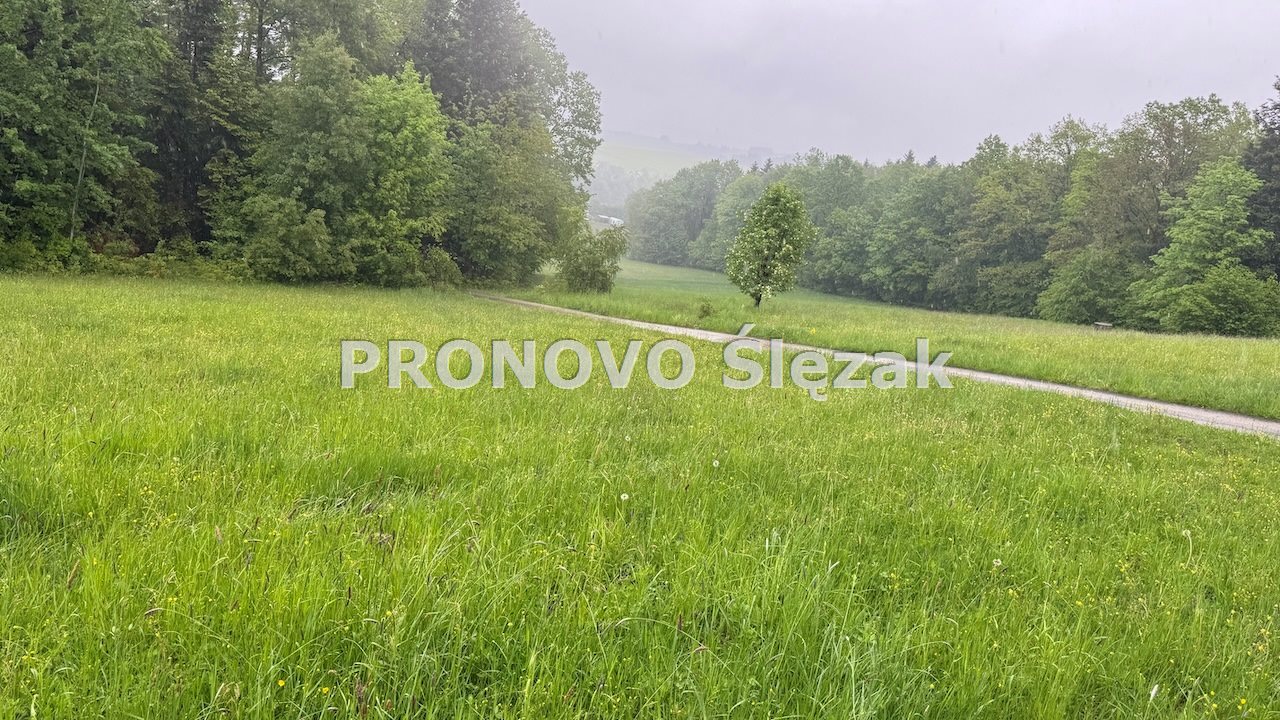 Sprzedam działkę budowlaną w górach. (5)